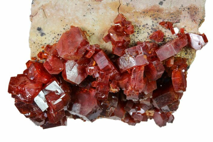 Deep Red Vanadinite Crystal Cluster - Morocco #157034